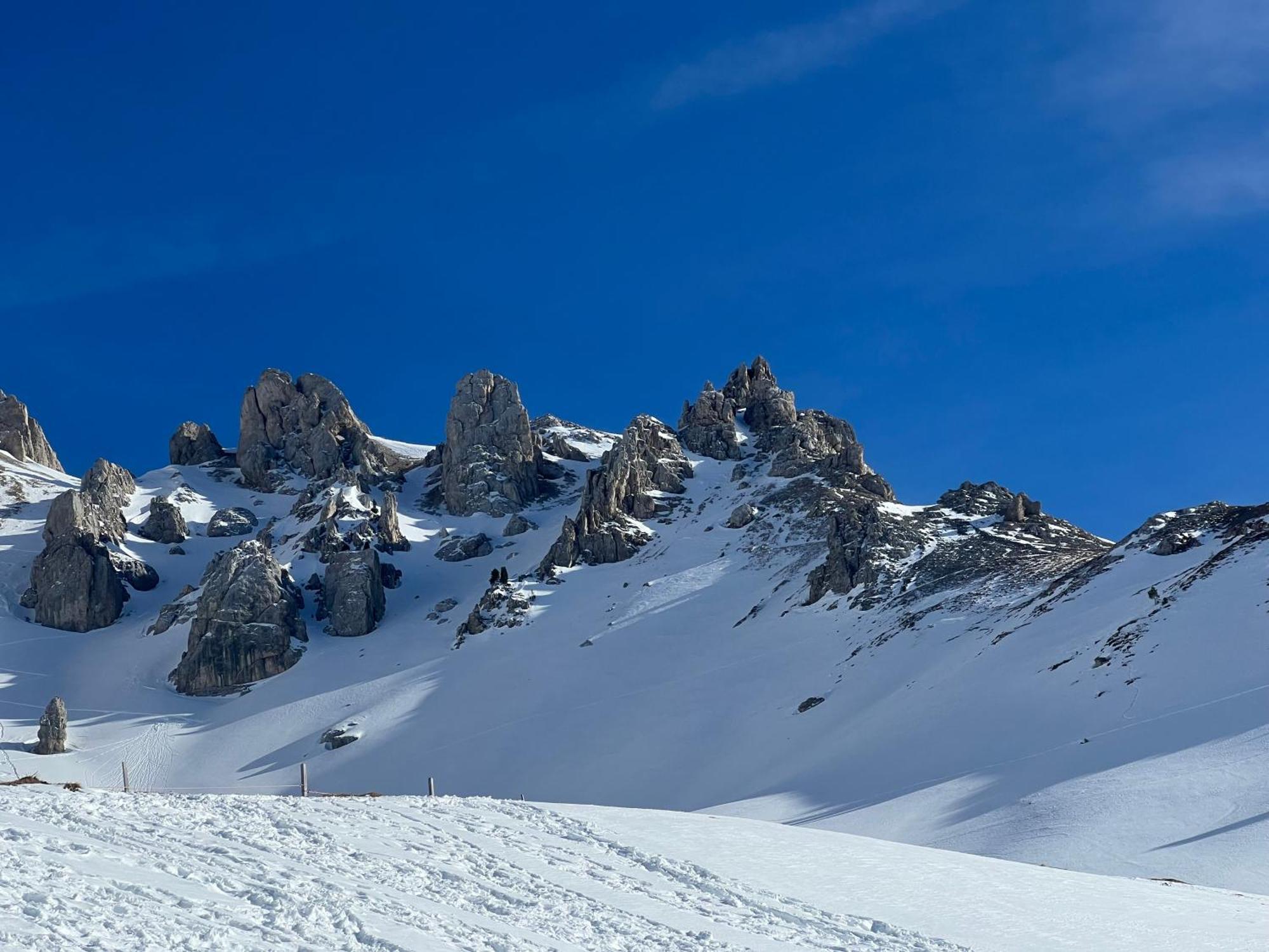 Chalet Tschattlhof Dolomites Cavalese Kültér fotó