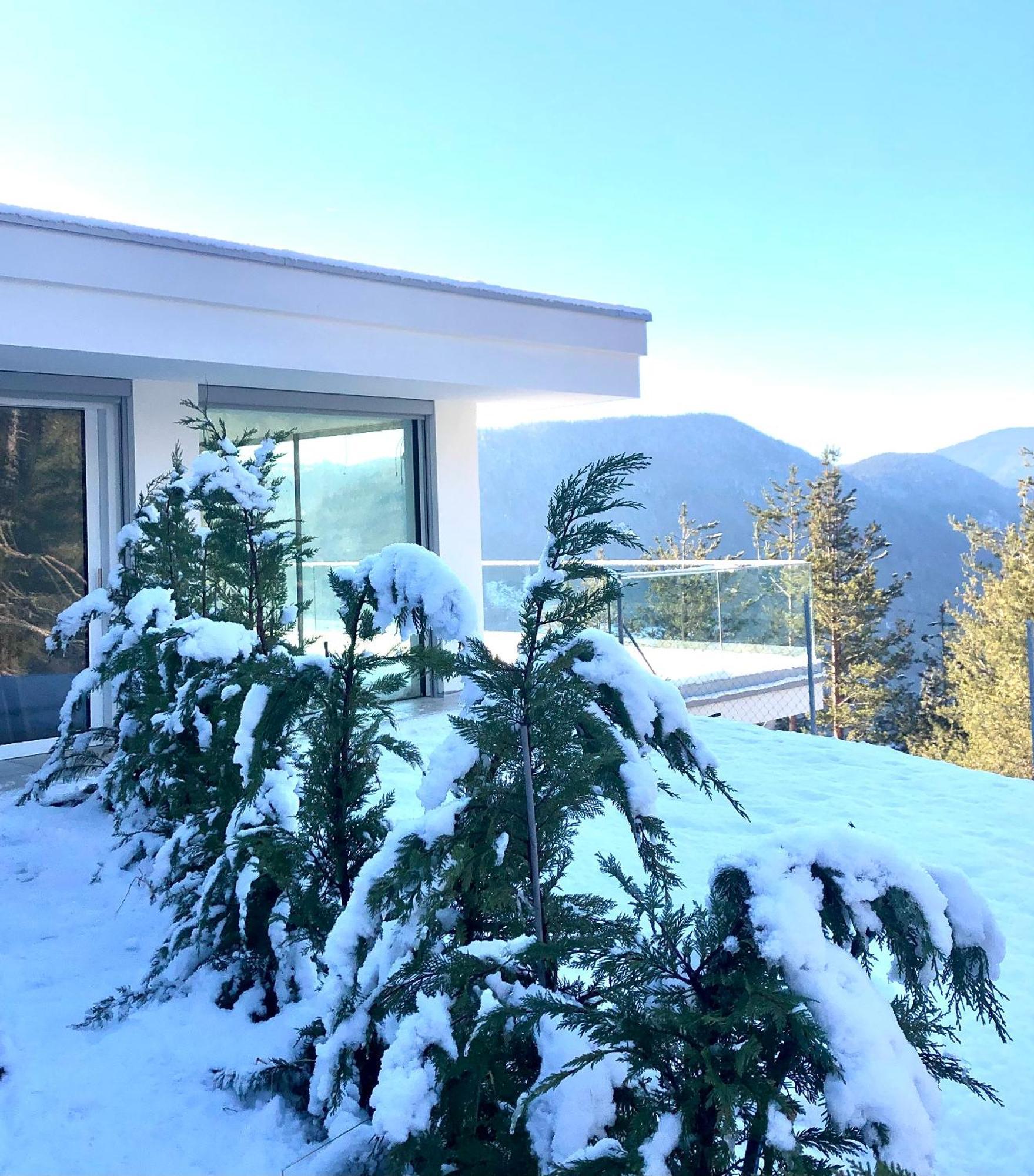 Chalet Tschattlhof Dolomites Cavalese Kültér fotó
