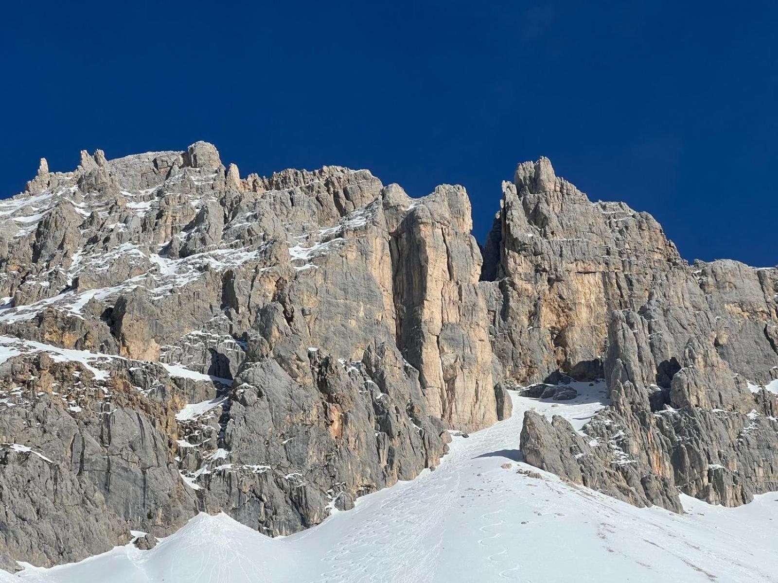 Chalet Tschattlhof Dolomites Cavalese Kültér fotó