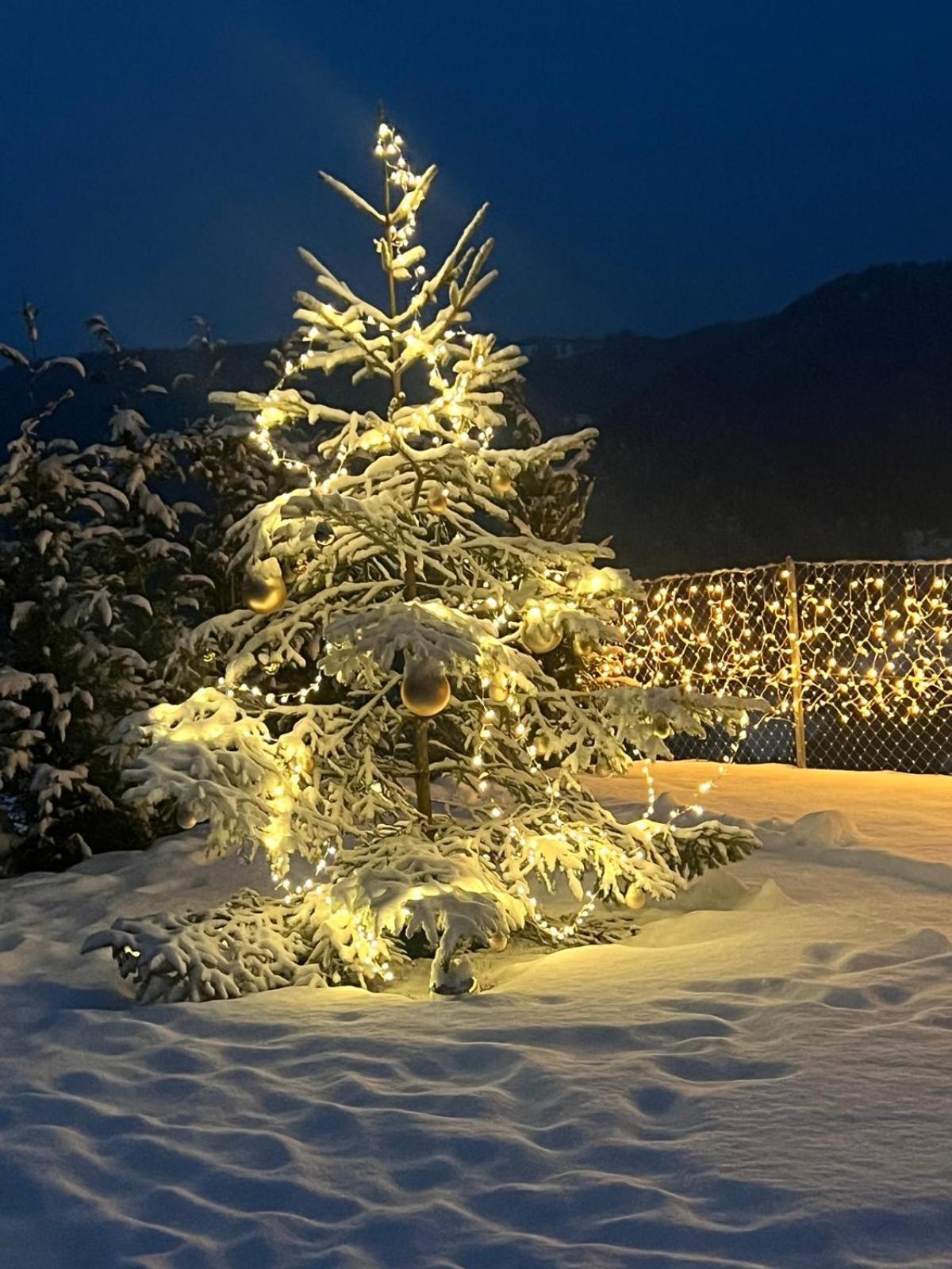 Chalet Tschattlhof Dolomites Cavalese Kültér fotó