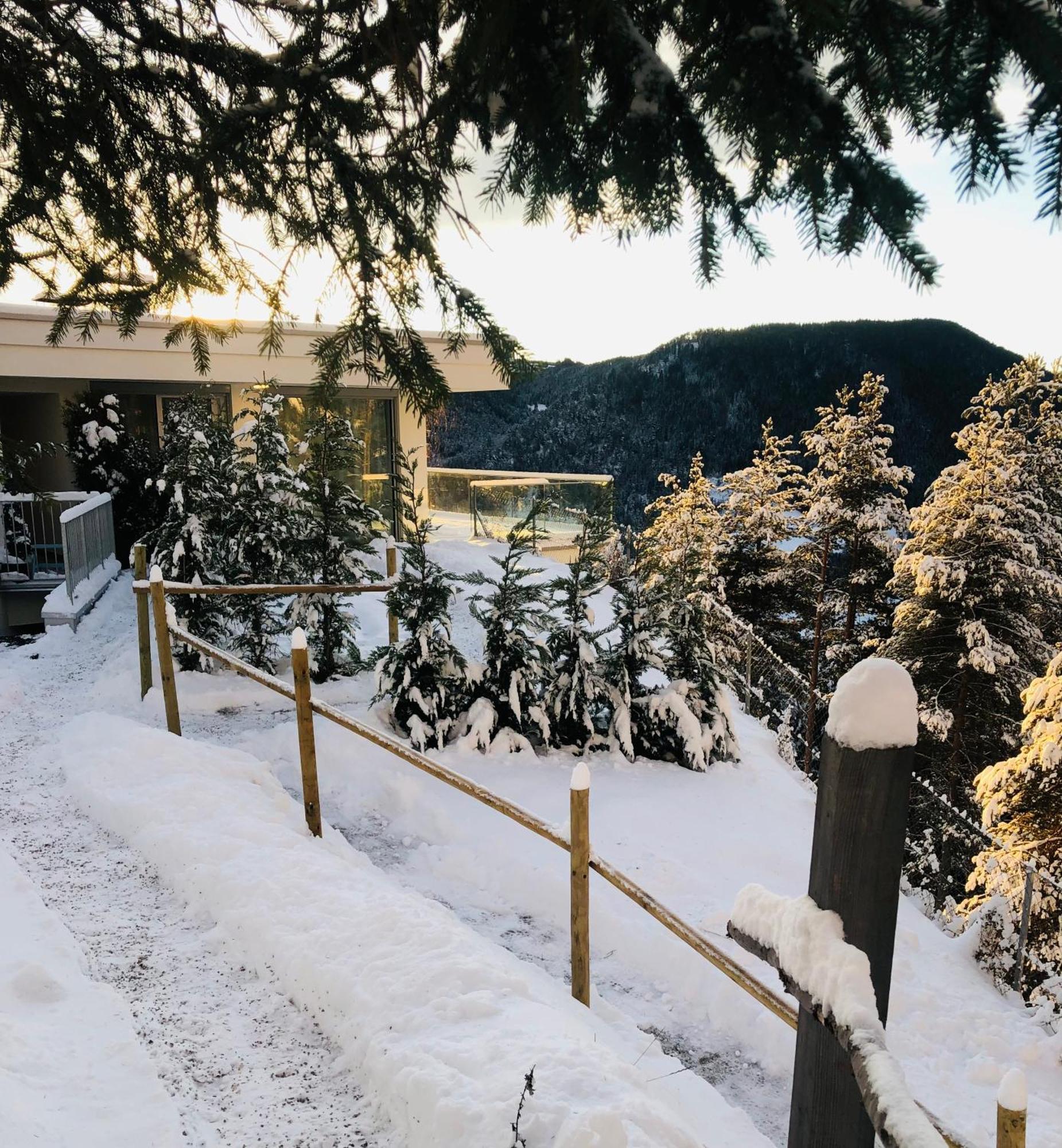 Chalet Tschattlhof Dolomites Cavalese Kültér fotó