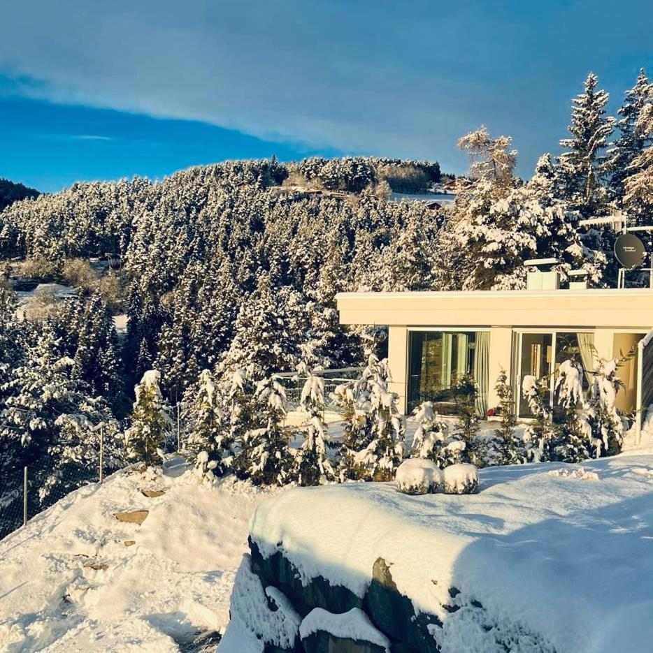 Chalet Tschattlhof Dolomites Cavalese Kültér fotó