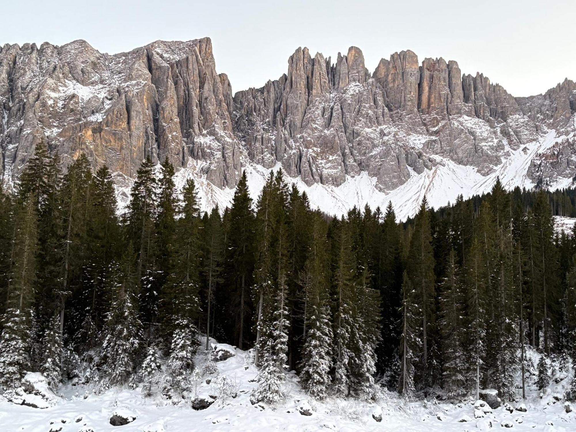 Chalet Tschattlhof Dolomites Cavalese Kültér fotó